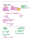 Physics Kinematic Notes