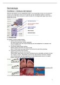 Samenvatting  Dermatologie