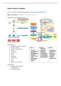 Compleet overzicht/samenvatting module 4 celbiologie psychobiologie jaar 1