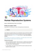 Human Reproductive Systems (Grade 12 Biology)