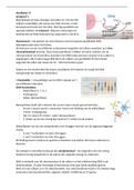 Biologie samenvatting Hoofdstuk 17 DNA 6vwo Nectar