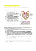 Summary learning objectives Physiology Advanced Concepts