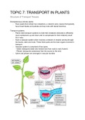 Summary Unit 7- Transport in plants 9700 CIE Biology