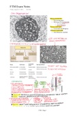 Exam Condensed Review 