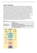 thema 4 sturing en stofwisseling