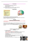 Samenvatting  Verpleegkundige Zorg - neurochirurgie 