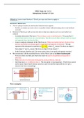 Topic 14; Interactions, Newton’s 3rd law