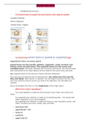 Anatomy 100 Answers Review for Exam 2- Chamberlain College of Nursing Anatomy 100 Answers Review for Exam 2- Chamberlain College of Nursing/Anatomy 100 Answers Review for Exam 2- Chamberlain College of Nursing/Anatomy 100 Answers Review for Exam 2- Chambe