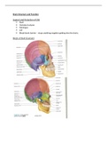 Brain Structure and Function - Speech and Language