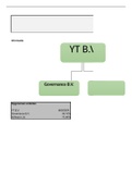 Externe verslaggeving 3: Young Tech B.V. bundel