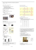 COGNITION Motion perception and Selective attention