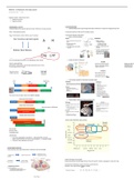 COGNITION Module introduction