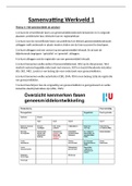 Samenvatting Werkveld 1