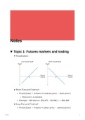 Derivatives Summary (BS3385) (Grade: 75%)