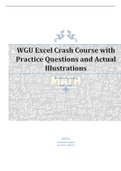 WGU EXCEL CRASH Course with Detailed Explanations and Illustrations