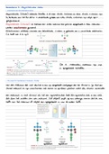 samenvatting stereochemie; asymmetrisch centra