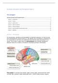 Complete summary Sensation and Perception Exam 1