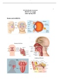 Bradley University:NUR 204 Health Assessment HEENT & Lymph nodes Spring 2023