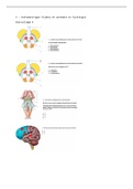 Tentamenvragen tijdens de les anatomie HC4,5,6