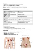 Excretion grade 11 ieb notes 