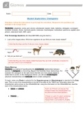 Cladograms Gizmo