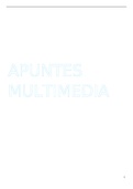 Apuntes Desarrolo de productos editoriales multimedia 