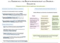 Erziehungswissenschaft und Bildungswissenschaft als Disziplin (LE 3, 1A) 