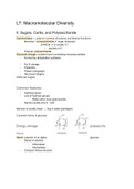 Lecture 7 and 8: Macromolecular Diversity