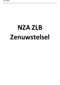 Uitgebreide samenvatting NZA - Het Ziekteleerboek