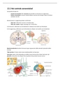 BIOLOGIE SAMENVATTING 5VWO HOOFDSTUK 13 ZENUWSTELSEL