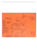 BRACHIAL PLEXUS SUMMARY IN DEPTH