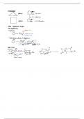 Cycloalkanes notes