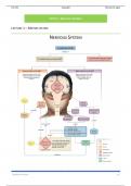 Nervous System Study Unit 2