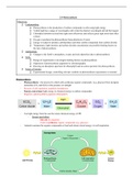 IB Biology HL Unit 2 Notes