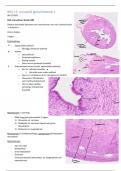 Samenvatting practicum 13