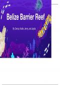 Belize Barrier Reefs