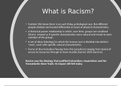 Sociology - Racism