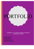 Stageportfolio praktijkleren 4