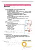 samenvatting cardiovasculair stelsel (anatomie)