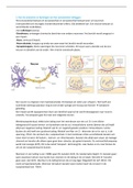 Samenvatting/toetsmatrijs beroepssituatie 5 en 6 (BS5 & BS6)