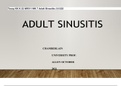 Tessy KK K 22 NR511 WK 7 Adult Sinusitis (1)1222