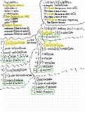 Trig Identities