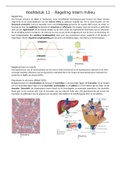 Hoofdstuk 11 Regeling intern milieu 5VWO. Boek Nectar 4e editie biologie.