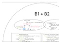 samenvatting BiologieVoorJou VWO5 PLANTEN