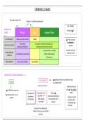 Esquema resumen términos y plazos Ley 39-2015