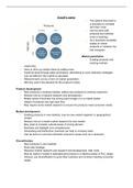 AQA A-Level Business Unit 8 notes