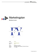 Marketingplan marketing in de stad (9.5)