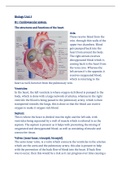 Unit 5 Btec Applied Science - The structure of the Heart.