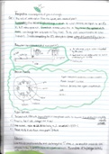 Plant Biology HL SL notes Chapter 9