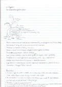 Chapter 6 Human Physiology HL SL notes IB 